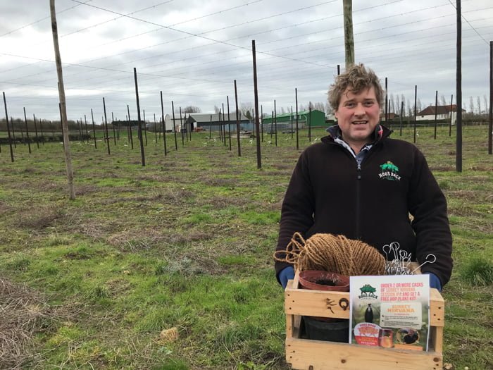 Hop giveaway marks relaunch of Surrey Nirvana Session IPA -Matthew King, Hogs Back’s hop garden manager, assembling the Cascade hop growing kits to send to pubs