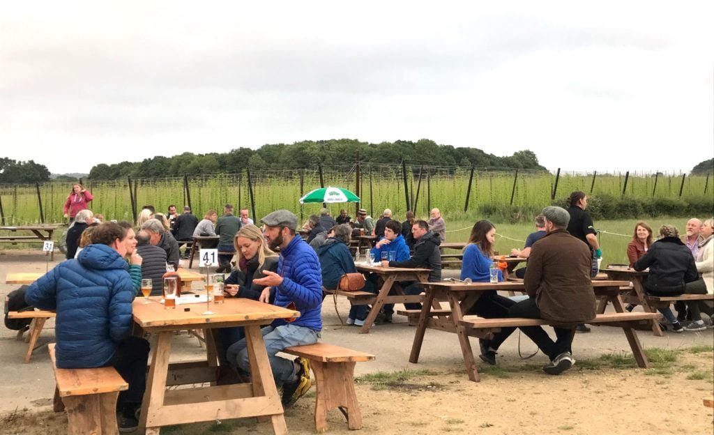 The Hogs Back Tap Garden bar, overlooking the hop garden