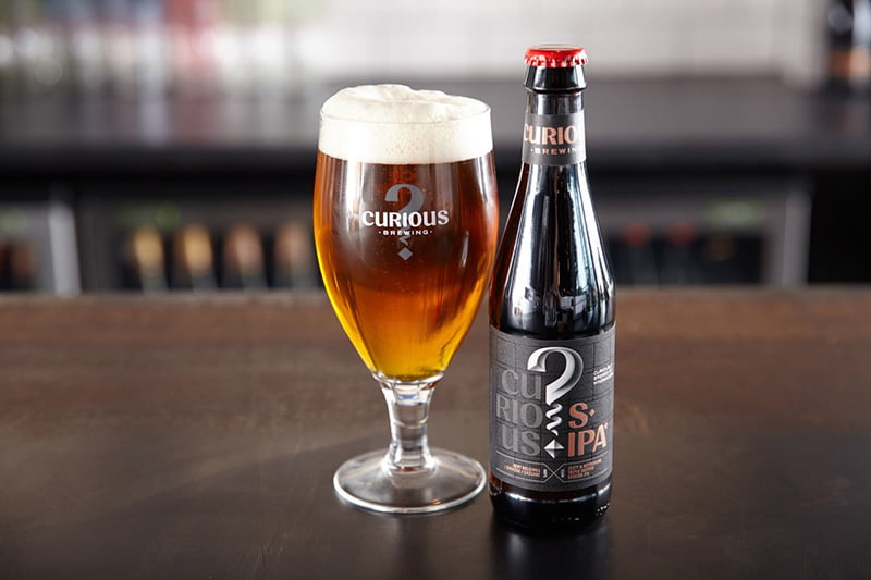 Curious Brewery IPA