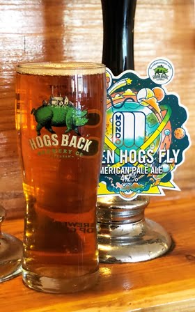 Hogs Back When Hogs Fly