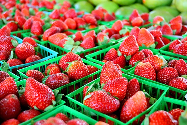 Lynx Purchasing better availability of British berries