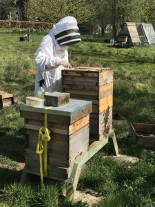 Beekeeper Claire O'Brien